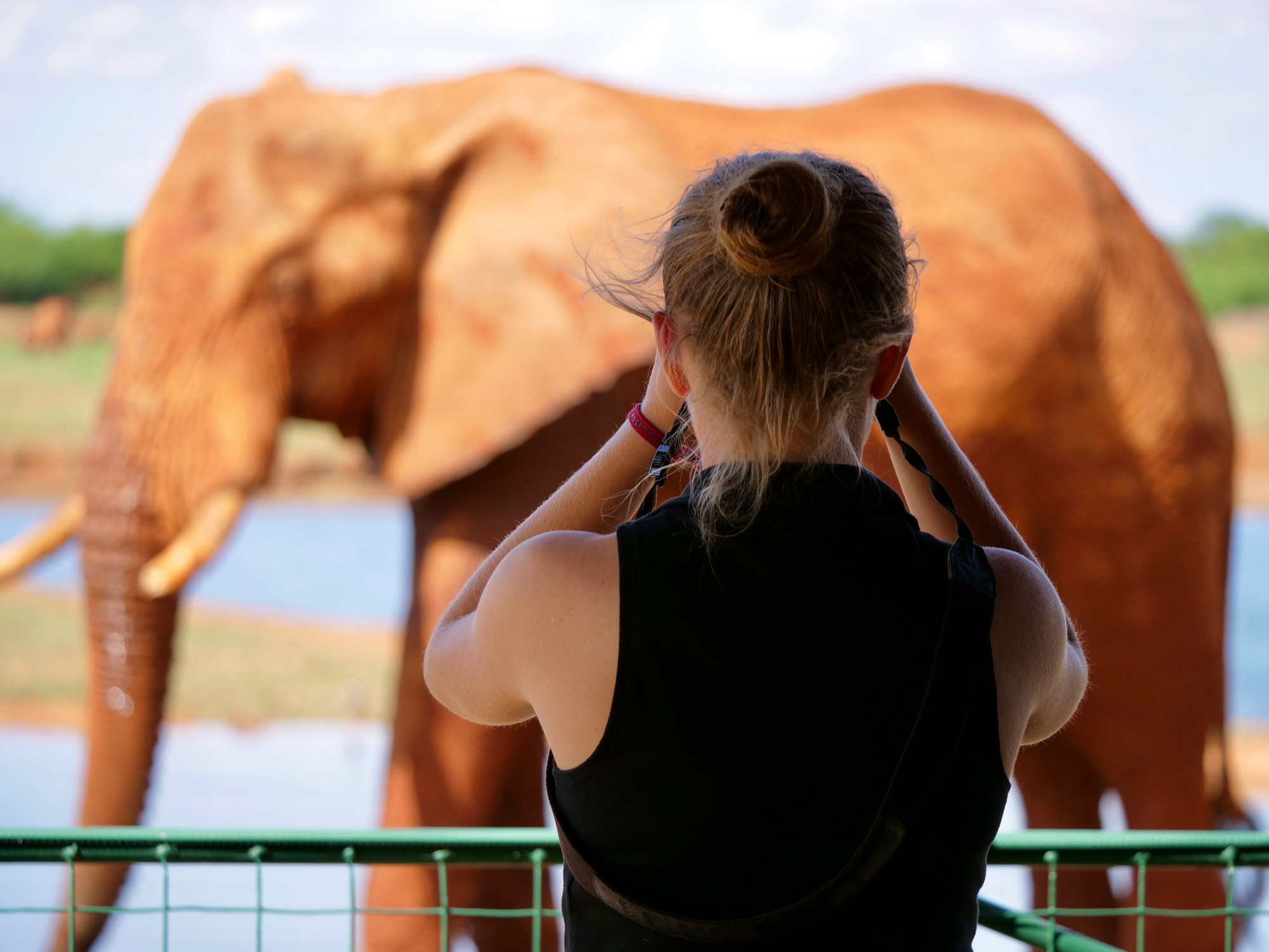 Kass Wojcik traveling with the Watson Foundation