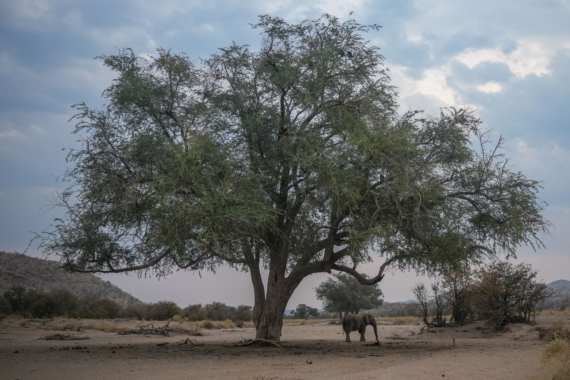 Sam Pigott traveling with the Watson Foundation