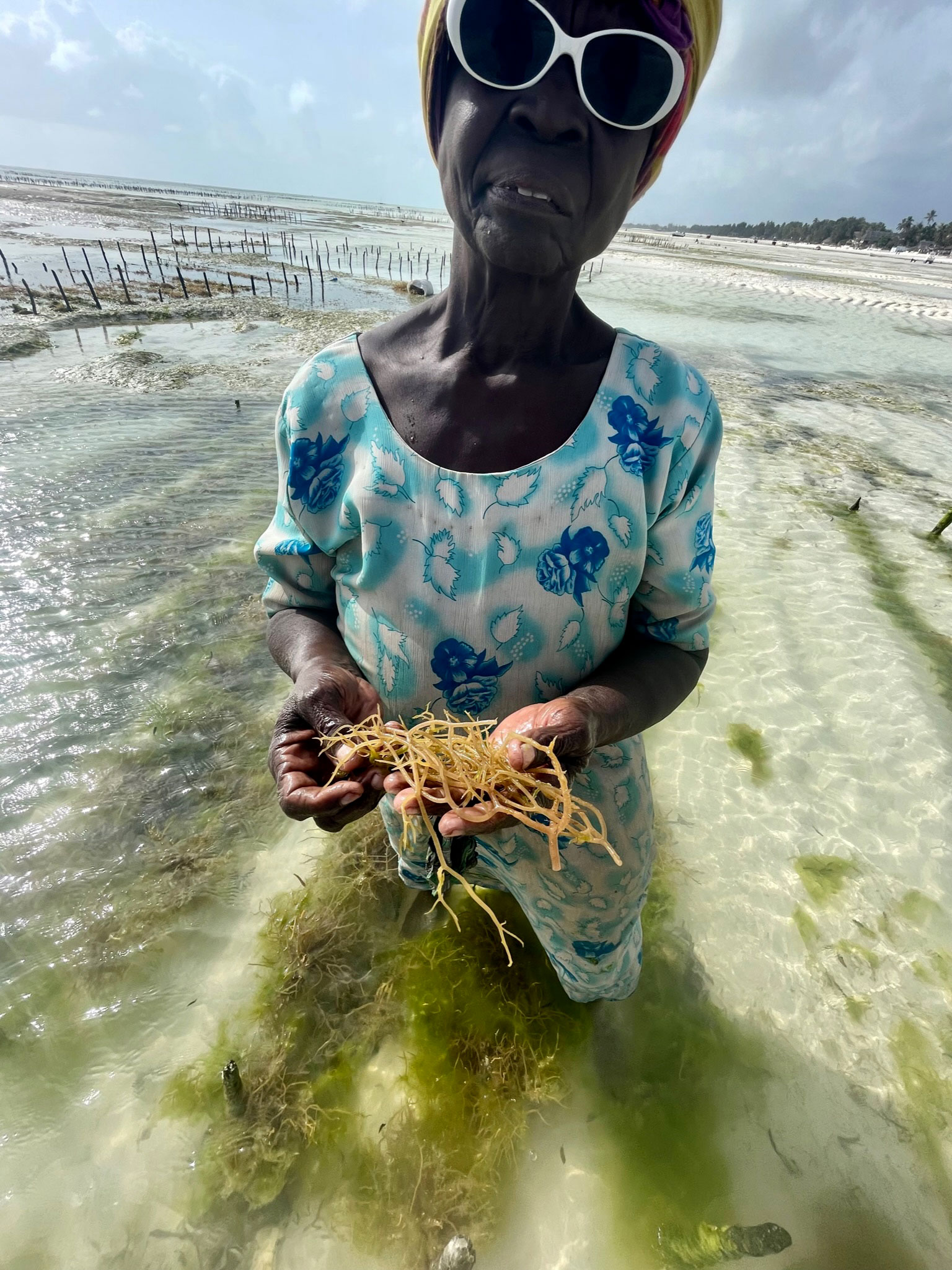 Sylvie Alexander traveling with the Watson Foundation