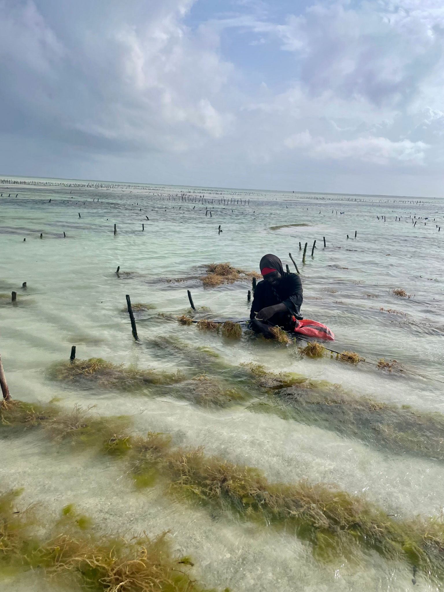 Sylvie Alexander traveling with the Watson Foundation