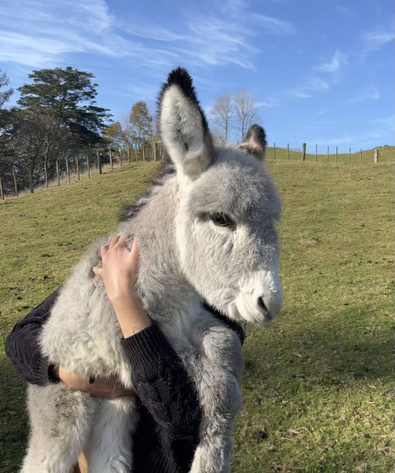 Clara Benadon traveling with the Watson Foundation