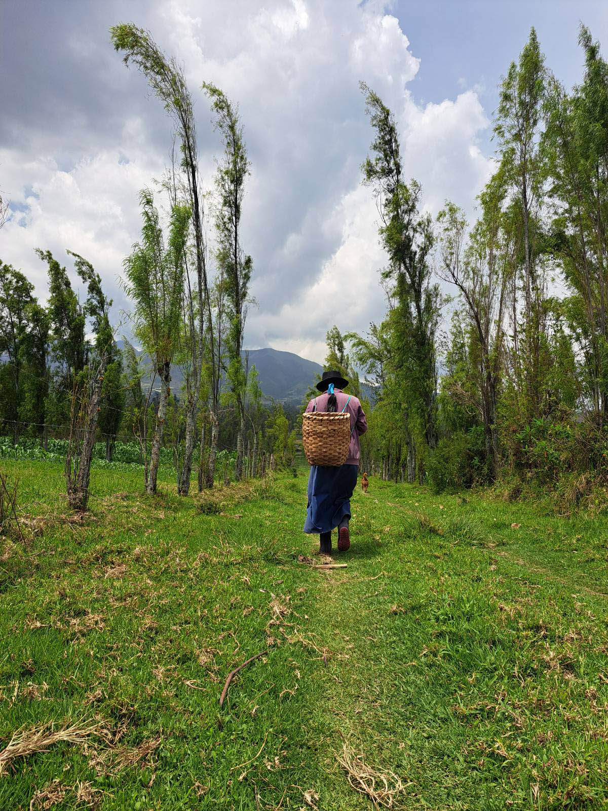 Emiliana Reinoso traveling with the Watson Foundation