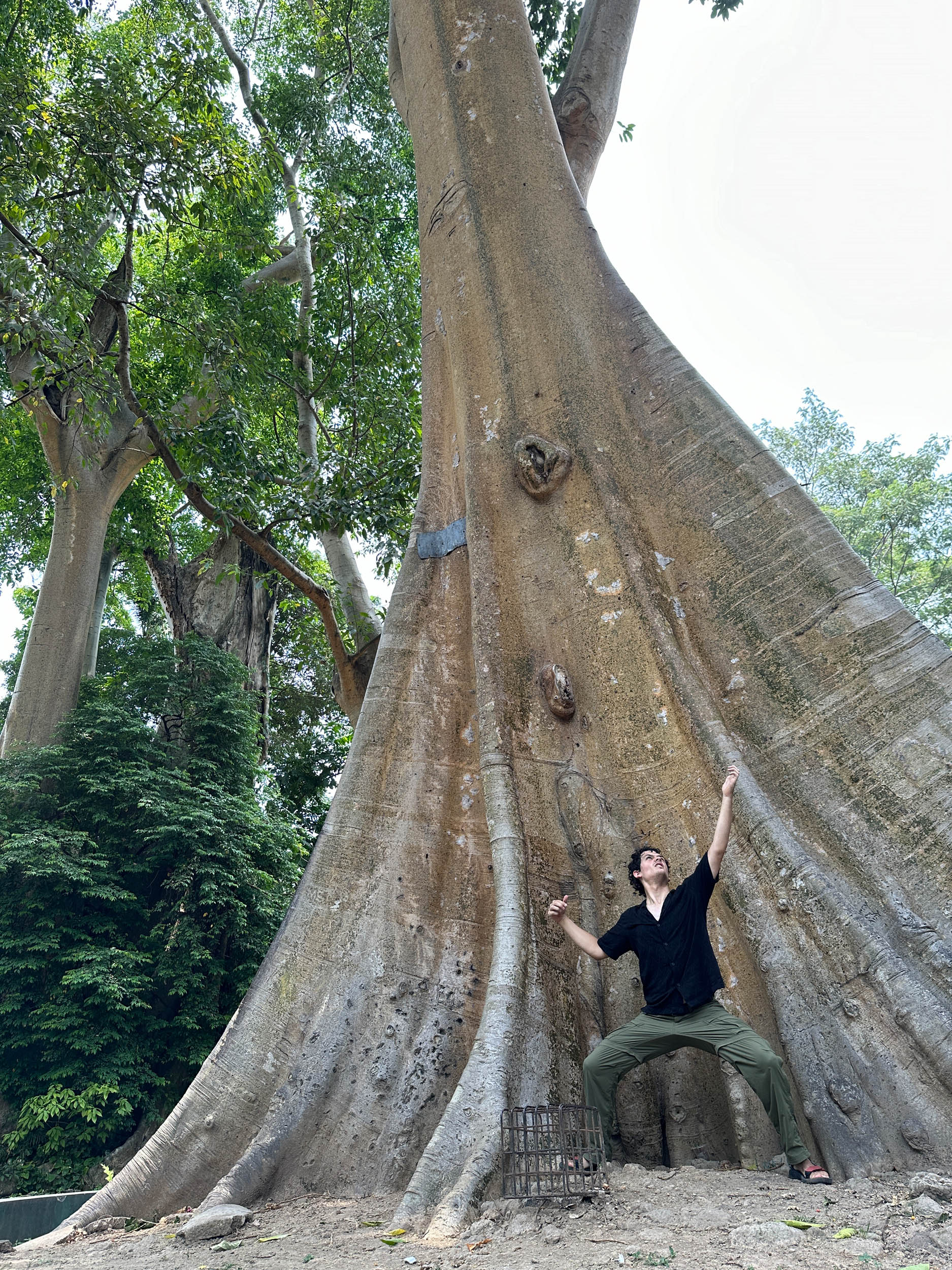 Joseph Nolan traveling with the Watson Foundation