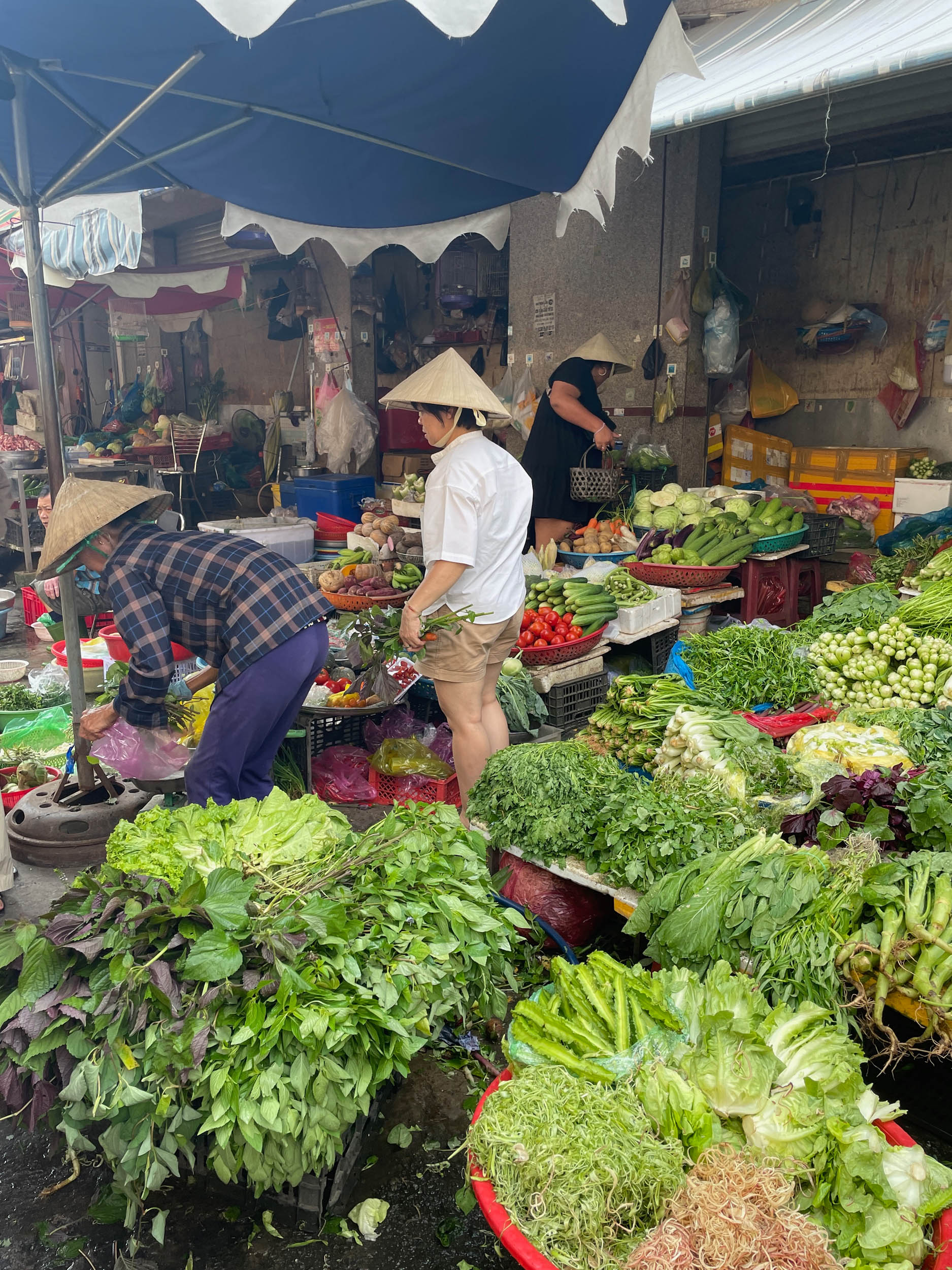 Yuxi Xia traveling with the Watson Foundation